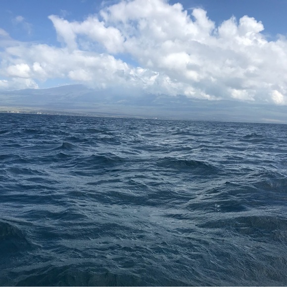 Meet your Posher, Marley - Picture 6 of 11